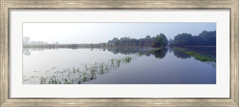 Framed Standing floodwater, Mississippi River, Illinois, USA Print