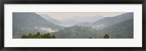 Framed Forest with mountain range, Bwindi Impenetrable Forest, Bwindi Impenetrable National Park, Uganda Print