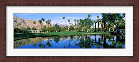 Framed Reflection of trees on water, Thunderbird Country Club, Rancho Mirage, Riverside County, California, USA Print