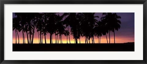 Framed Silhouette of palm trees on the beach, Puuhonua o Honaunau National Historical Park, Big Island, Hawaii, USA Print