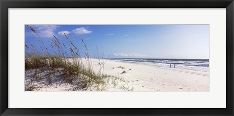 Framed Tall grass on the beach, Perdido Key Area, Gulf Islands National Seashore, Pensacola, Florida, USA Print