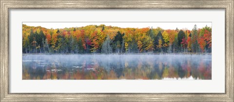 Framed Trees in autumn at Lake Hiawatha, Alger County, Upper Peninsula, Michigan, USA Print