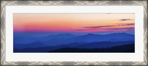 Framed Blue &amp; Pink Sunset at Clingmans Dome,Tennessee Print