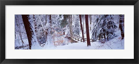 Framed Winter footbridge Cleveland Metro Parks, Cleveland OH USA Print