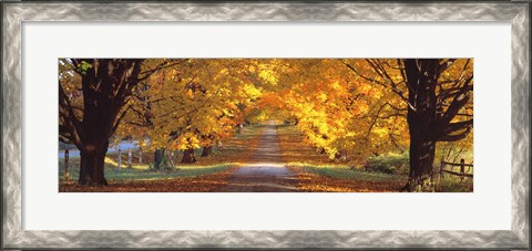 Framed Road, Baltimore County, Maryland, USA Print