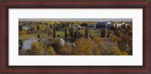 Framed High angle view of trees, Denver, Colorado, USA Print