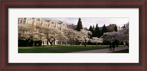 Framed University of Washington, Seattle, King County, Washington State Print