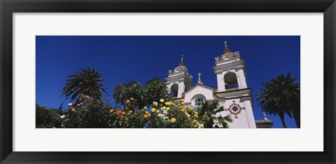 Framed Plants in front of a cathedral, Portuguese Cathedral, San Jose, Silicon Valley, Santa Clara County, California, USA Print