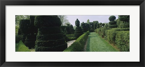 Framed Sculptures formed from trees and plants in a garden, Ladew Topiary Gardens, Monkton, Baltimore County, Maryland, USA Print