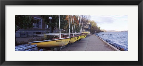 Framed Sailboats in a row, University of Wisconsin, Madison, Dane County, Wisconsin, USA Print