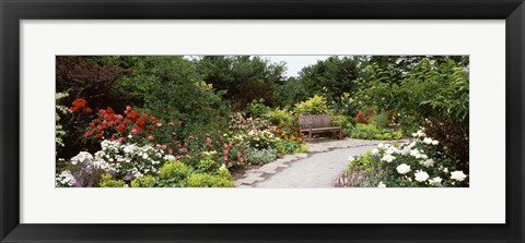 Framed Bench in a garden, Olbrich Botanical Gardens, Madison, Wisconsin, USA Print