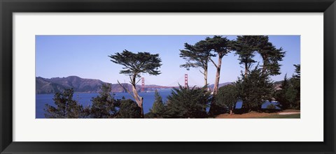 Framed Suspension bridge across a bay, Golden Gate Bridge, San Francisco Bay, San Francisco, California, USA Print