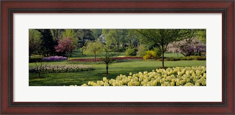 Framed Sherwood Gardens, Baltimore, Maryland Print