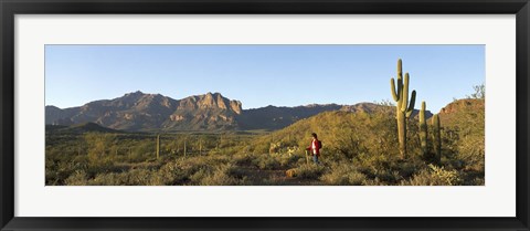Framed Hiker standing on a hill, Phoenix, Arizona, USA Print