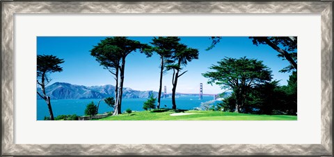Framed Golf Course w\ Golden Gate Bridge San Francisco CA USA Print
