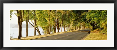 Framed Trees on both sides of a road, Lake Washington Boulevard, Seattle, Washington State, USA Print