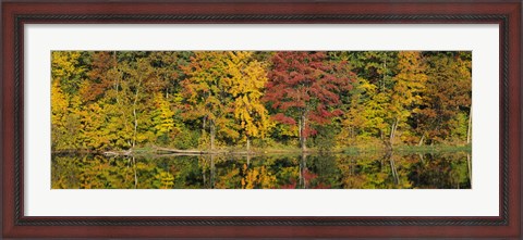 Framed Reflection of trees in water, Saratoga Springs, New York City, New York State, USA Print