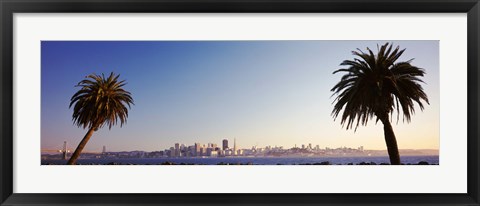 Framed Palm Trees At Dusk, San Francisco, California, USA Print