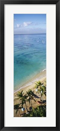 Framed High angle view of palm trees with beach umbrellas on the beach, Waikiki Beach, Honolulu, Oahu, Hawaii, USA Print