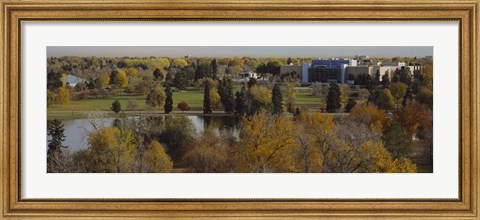 Framed High angle view of trees, Denver, Colorado, USA Print