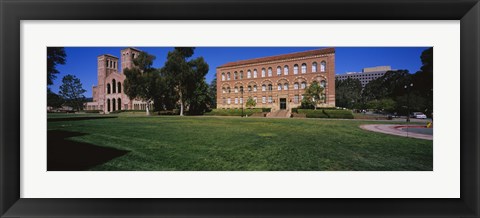 Framed Lawn in front of a Royce Hall and Haines Hall, University of California, City of Los Angeles, California, USA Print