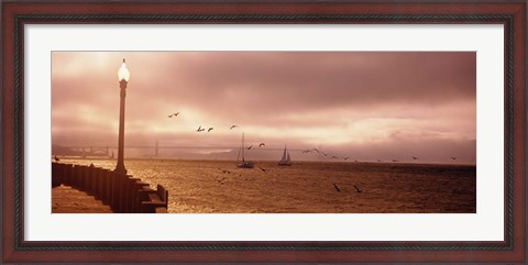 Framed Sailboats in the sea, San Francisco Bay, Golden Gate Bridge, San Francisco, California, USA Print