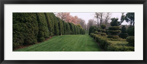 Framed Hedge in a formal garden, Ladew Topiary Gardens, Monkton, Baltimore County, Maryland Print