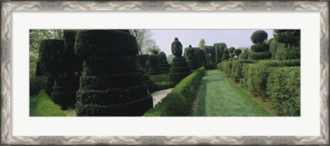 Framed Sculptures formed from trees and plants in a garden, Ladew Topiary Gardens, Monkton, Baltimore County, Maryland, USA Print