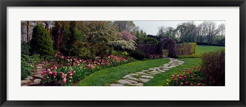 Framed Flowers in a garden, Ladew Topiary Gardens, Monkton, Baltimore County, Maryland, USA Print