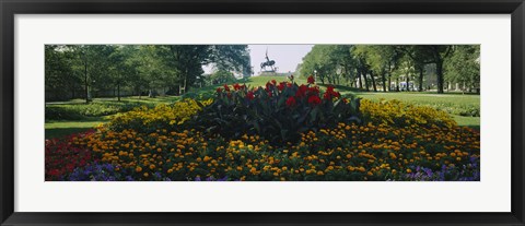 Framed Flowers in a park, Grant Park, Chicago, Cook County, Illinois, USA Print
