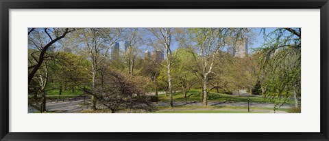 Framed Trees in a park, Central Park West, Central Park, Manhattan, New York City, New York State, USA Print