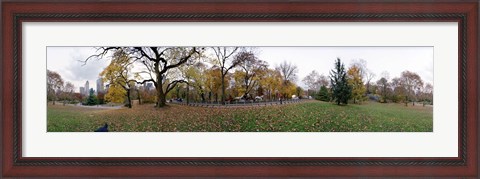 Framed Horse and carriages in a park, Central Park, Manhattan, New York City, New York State, USA Print