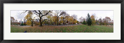 Framed Horse and carriages in a park, Central Park, Manhattan, New York City, New York State, USA Print