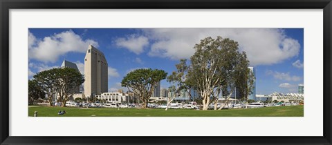 Framed Park in a city, Embarcadero Marina Park, San Diego, California, USA 2010 Print