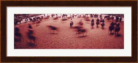 Framed Rodeo arena, Fort Worth Stock Show and Rodeo, Fort Worth, Texas, USA Print
