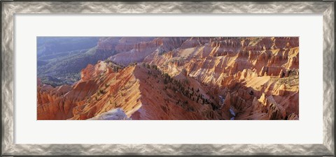 Framed Amphitheater, Cedar Breaks National Monument, Utah, USA Print