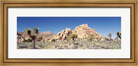 Framed Rock Formation In A Arid Landscape, Joshua Tree National Monument, California, USA Print