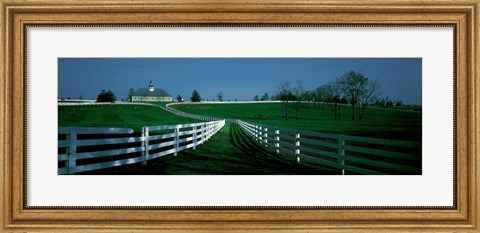 Framed USA, Kentucky, Lexington, horse farm Print
