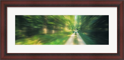 Framed Road, Greenery, Trees, Germany Print