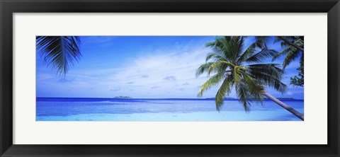 Framed Ocean, Island, Water, Palm Trees, Maldives Print