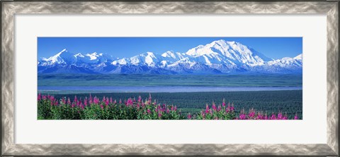 Framed Mountains &amp; Lake Denali National Park AK USA Print