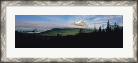 Framed Silhouette of trees with a mountain in the background, Canadian Rockies, Alberta, Canada Print