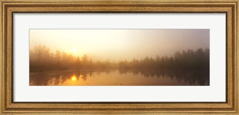 Framed Misty Morning, Volvo Bog, Illinois, USA Print