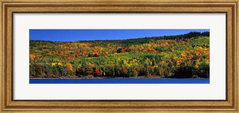 Framed Autumn Eagle Lake, Acadia National Park, Maine, USA Print