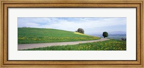 Framed Road Fields Aargau Switzerland Print