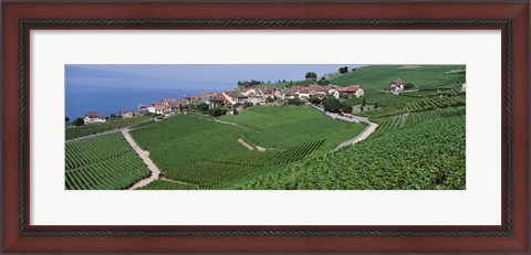 Framed Vineyards overlooking Lake Geneva, Switzerland Print