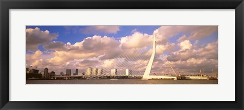 Framed Netherlands, Holland, Rotterdam, Erasmus Bridge Print