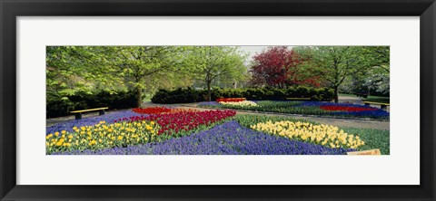 Framed Keukenhof Gardens, Lisse, Netherlands Print