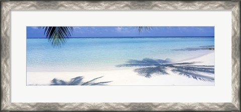 Framed Palm shadows, Laguna Maldives Print