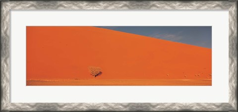 Framed Single tree in desert Namibia Print